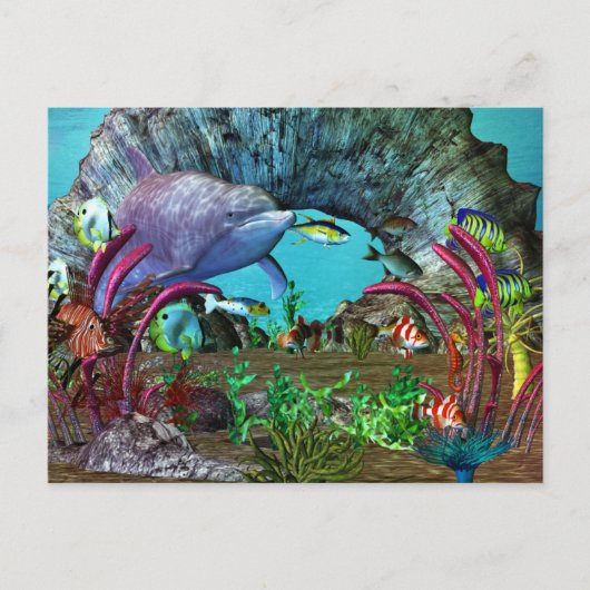 Carte Postale Aquarium 3D Dolphin Discovery 2 (Devant)