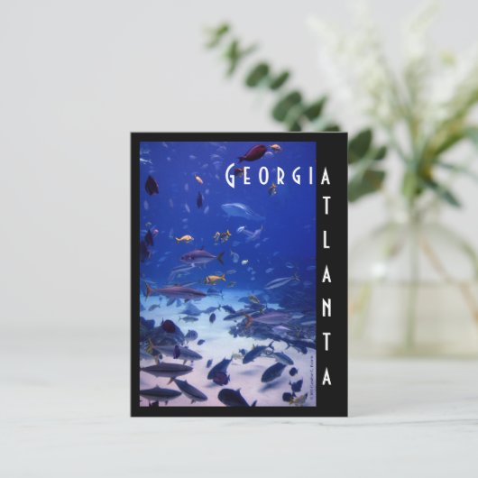 Carte Postale Aquarium d'Atlanta, la Géorgie (Debout devant)