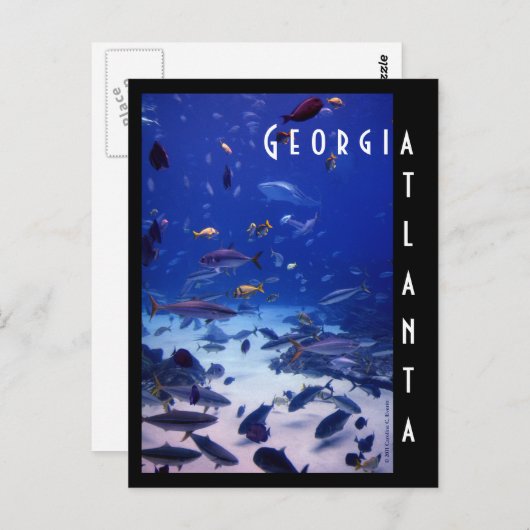 Carte Postale Aquarium d'Atlanta, la Géorgie (Devant / Derrière)