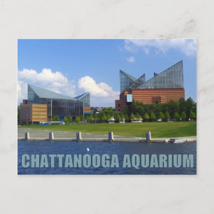 Carte Postale Aquarium de Chattanooga