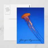 Carte Postale Aquarium de Géorgie Méduse (Devant / Derrière)