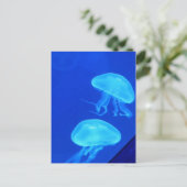 Carte Postale Aquarium de la Caroline du Nord (Debout devant)