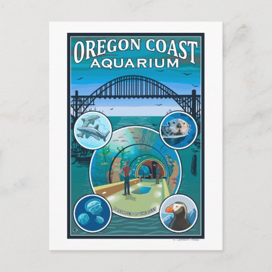 Carte Postale Aquarium de la côte de l'Oregon (Devant)