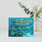 Carte Postale Aquarium de poissons de l'Atlantide (Debout devant)