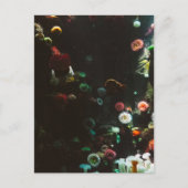 Carte Postale Aquarium du Canada, Toronto, Canada (Devant)