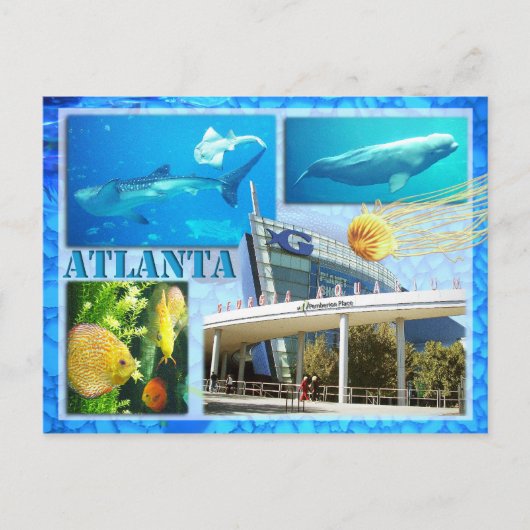 CARTE POSTALE AQUARIUM GÉORGIEN, ATLANTA, GÉORGIE (Devant)