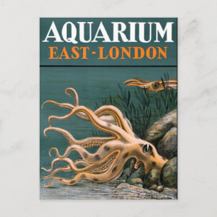 Carte Postale Aquarium Octopus Poster vintage restauré