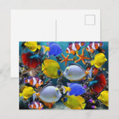 Carte Postale aquarium pêche aux poissons tropicaux (Devant / Derrière)