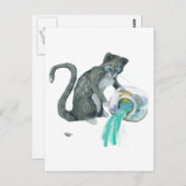 Carte Postale Aquarius Cat (Devant / Derrière)