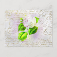 ** AR23 Floral Ancienne écriture manuscrite Vintag