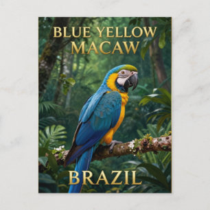 Carte Postale 🦜 Ara bleu et jaune de la forêt tropicale brésili