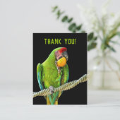 Carte Postale Ara Militaris Green Parrot (Debout devant)