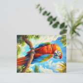 Carte Postale Ara rouge (Debout devant)