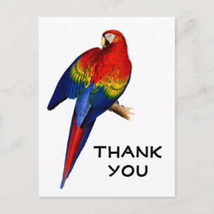 Carte Postale Ara rouge arc-en-ciel Forêt tropicale Oiseau Merci