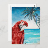 Carte Postale Ara Rouge Perruche Aquarelle Tropicale (Devant / Derrière)