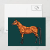 Carte Postale Arabe (Devant / Derrière)