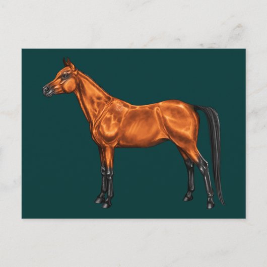 Carte Postale Arabe (Devant)