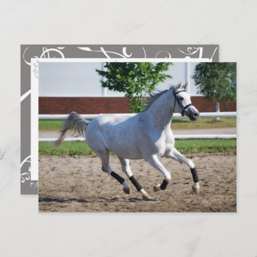 Carte Postale Arabe 1 (Devant / Derrière)