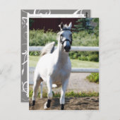 Carte Postale Arabe 2 (Devant / Derrière)