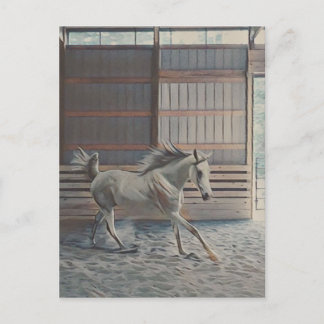 Carte Postale Arabe artistique