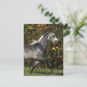 Carte Postale Arabes en course : Automne (Debout devant)