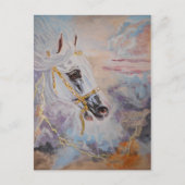 Carte postale Arabian Horse (Devant)