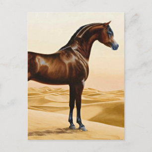 Carte Postale Arabian Horse - William Barraud