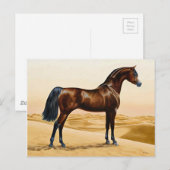Carte Postale Arabian Horse - William Barraud (Devant / Derrière)