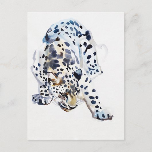 Carte Postale Arabian Leopard 2008 5 (Devant)