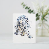Carte Postale Arabian Leopard 2008 5 (Debout devant)