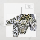 Carte Postale Arabian Leopard 2008 6 (Devant / Derrière)