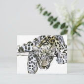 Carte Postale Arabian Leopard 2008 6 (Debout devant)