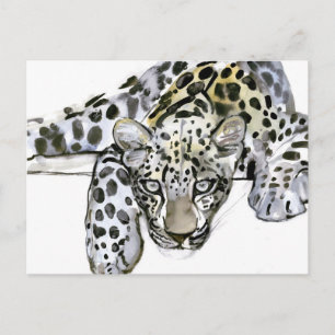 Carte Postale Arabian Leopard 2008 6