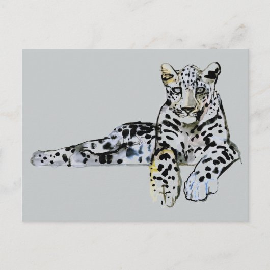 Carte Postale Arabian Leopard 2008 7 (Devant)
