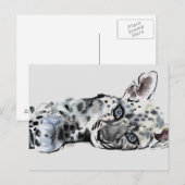 Carte Postale Arabian Leopard Cub 2008 (Devant / Derrière)