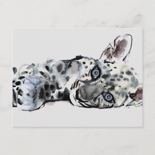 Carte Postale Arabian Leopard Cub 2008 (Devant)