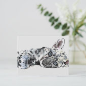 Carte Postale Arabian Leopard Cub 2008 (Debout devant)