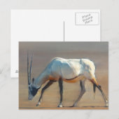 Carte Postale Arabian Oryx 2010 (Devant / Derrière)