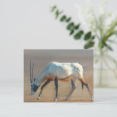 Carte Postale Arabian Oryx 2010 (Debout devant)