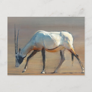 Carte Postale Arabian Oryx 2010