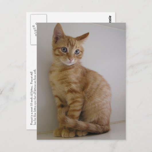 Carte Postale Arachide (Devant / Derrière)