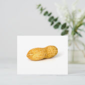 Carte Postale Arachide (Debout devant)