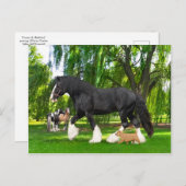 Carte Postale "Arachide et oiseau-noir"  (Devant / Derrière)