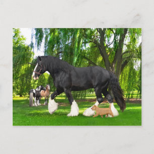 Carte Postale "Arachide et oiseau-noir" 