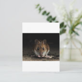 Carte Postale Arachide la souris en bois (Debout devant)
