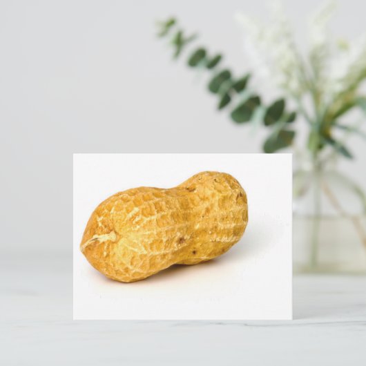 Carte Postale Arachide.png (Debout devant)