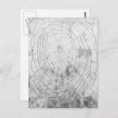 Carte Postale Araignée (Devant / Derrière)