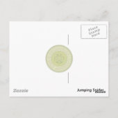 Carte postale Araignée (Dos)