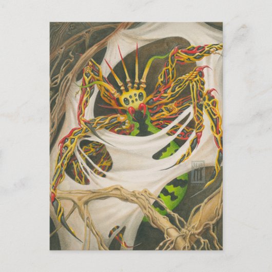 Carte Postale Araignée (Devant)