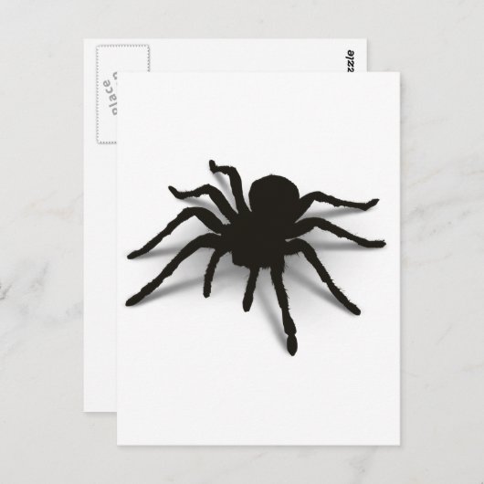 Carte Postale Araignée 3D (Devant / Derrière)